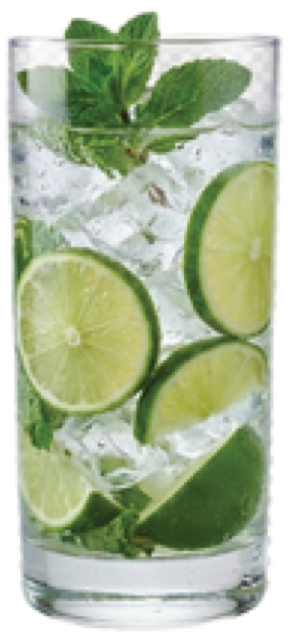 Mint Mojito